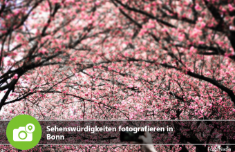 Bonn Sehenswürdigkeiten fotografieren in Bonn