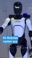 Mehrere Vorfälle mit KI-Robotern