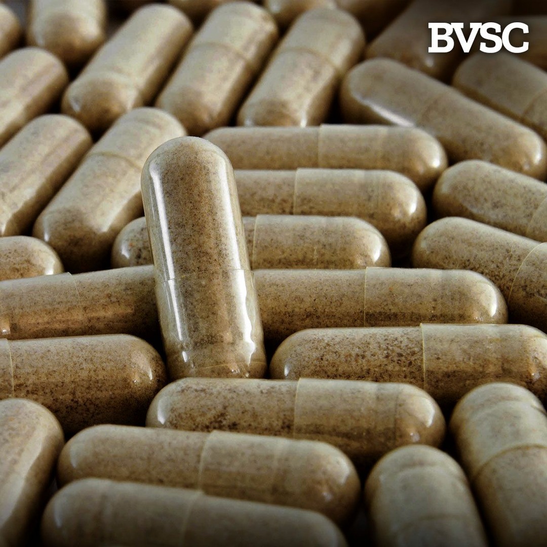 EPISODE 6: The Brown Pill (Featuring @therockrit)