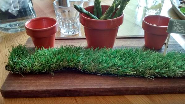 asparagus plant pots