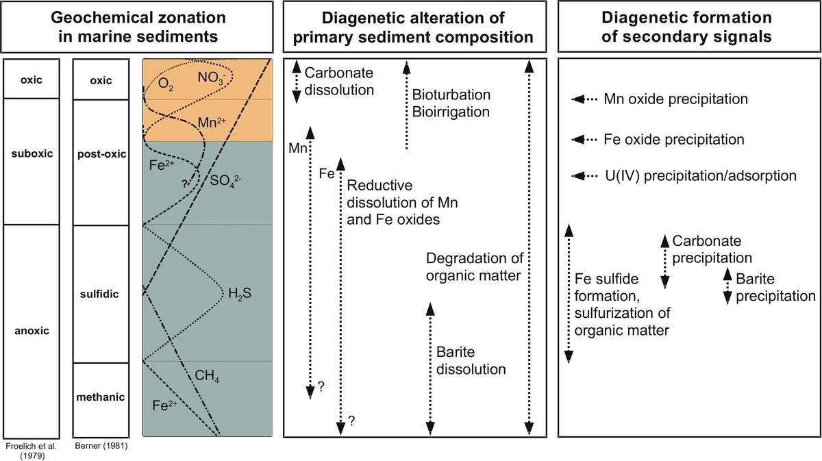 Diagenetische Sedimentzonierung
