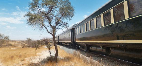 African Explorer African Explorer