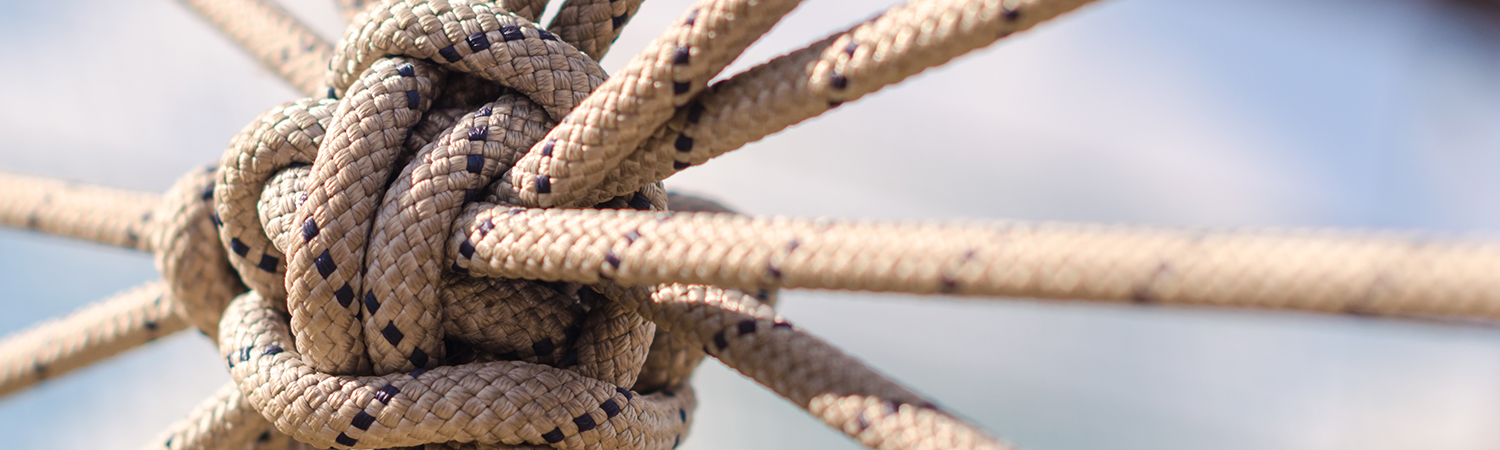 MCN Key Visual - © ChocoPie/Shutterstock