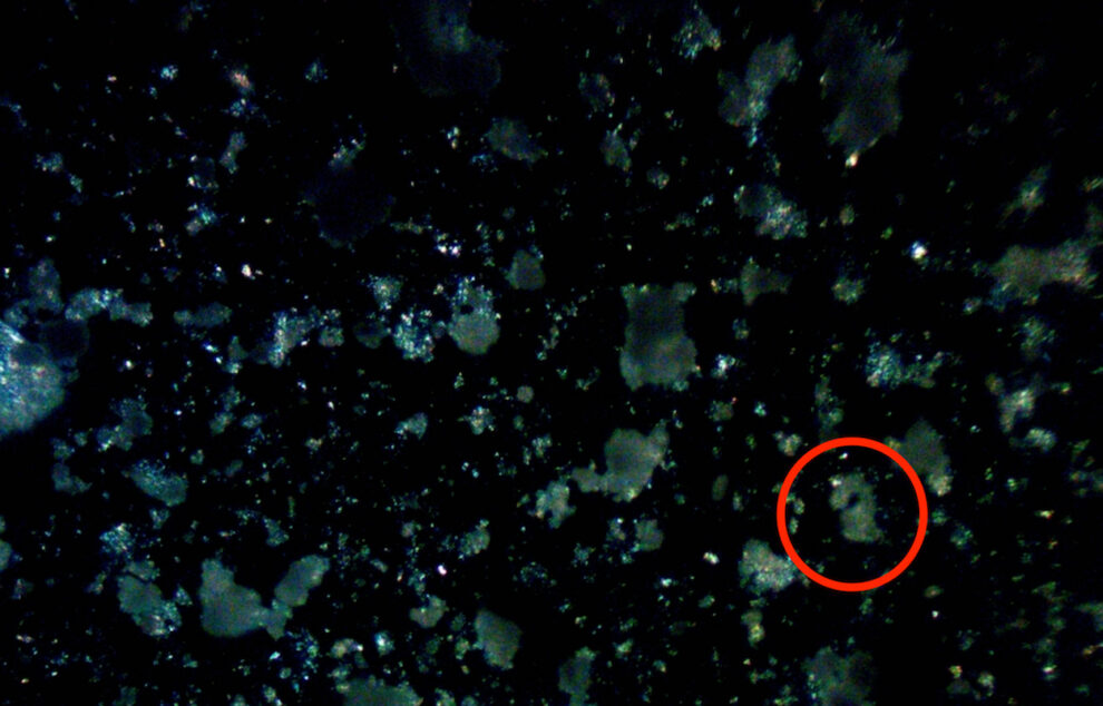 Nanoplastik-Teilchen unter dem Mikroskop