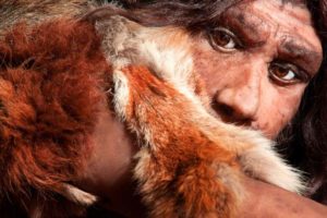 Dossier Neandertaler