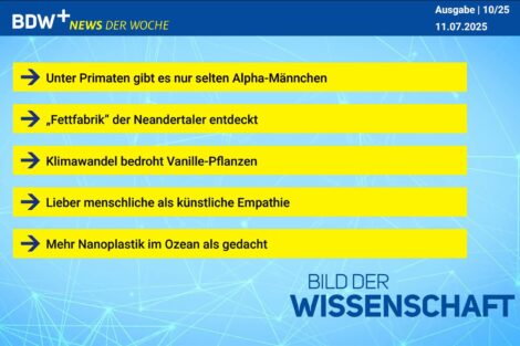 Beitragsbild News der Woche 10/2025